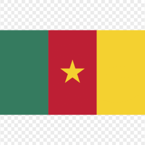 Flag of Cameroon